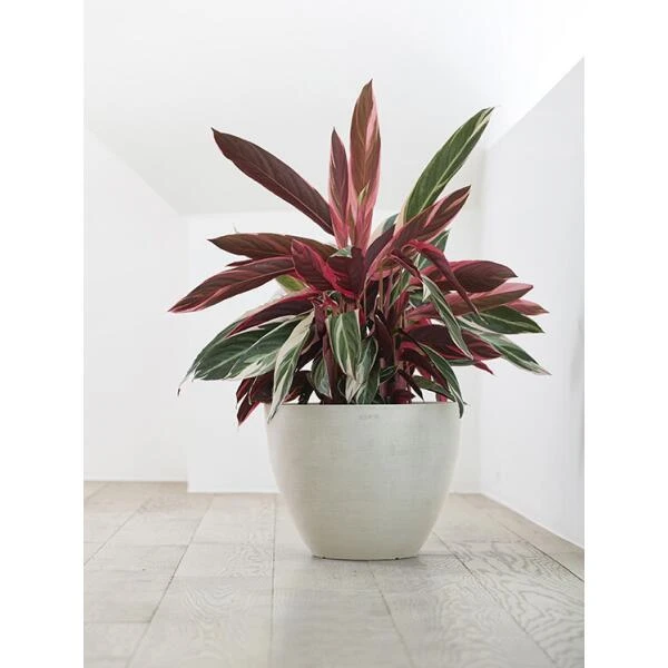 ECOPOTS Antwerp - Witgrijs Ø 30 Cm 4 ECOPOTS Antwerp - Witgrijs Ø 30 Cm - Afbeelding 2