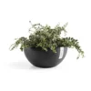 ECOPOTS Brussels - Antraciet Ø 35 Cm 2 ECOPOTS Brussels - Antraciet Ø 35 Cm -Aanbiedingen Intieme Eden Winkel ecopots brussel antraciet 35 cm 1633338123 1 600