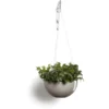 ECOPOTS Brussels Hanging Basket - Taupe Ø 27 Cm 2 ECOPOTS Brussels Hanging Basket - Taupe Ø 27 Cm -Aanbiedingen Intieme Eden Winkel ecopots hanging basket taupe 27 cm 1621338363 1 600