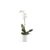 ECOPOTS Morinda Orchideeënpot - Pure White Ø 14 Cm -Aanbiedingen Intieme Eden Winkel ecopots morinda wit 14 cm 1672144561 1 600