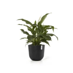 ECOPOTS Oslo Met Waterreservoir - Antraciet Ø 45 Cm
