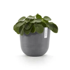 ECOPOTS Oslo Met Waterreservoir - Grijs Ø 25 Cm -Aanbiedingen Intieme Eden Winkel ecopots oslo waterreservoir grijs 25 cm 1672136735 2 600