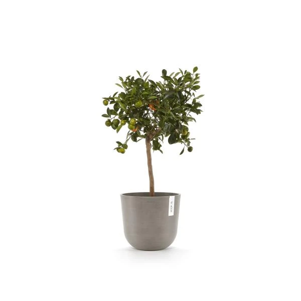 ECOPOTS Oslo Met Waterreservoir - Taupe Ø 25 Cm 4 ECOPOTS Oslo Met Waterreservoir - Taupe Ø 25 Cm - Afbeelding 2