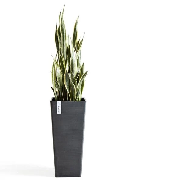 ECOPOTS Rotterdam High - Antraciet 70 Cm 5 ECOPOTS Rotterdam High - Antraciet 70 Cm - Afbeelding 3