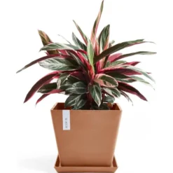 ECOPOTS Rotterdam - Terracotta 30 Cm -Aanbiedingen Intieme Eden Winkel ecopots rotterdam terracotta 30 cm 1652097754 3 600