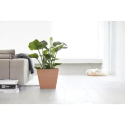 ECOPOTS Rotterdam - Terracotta 40 Cm 7 ECOPOTS Rotterdam - Terracotta 40 Cm -Aanbiedingen Intieme Eden Winkel ecopots rotterdam terracotta 40 cm 1594198577 1 600