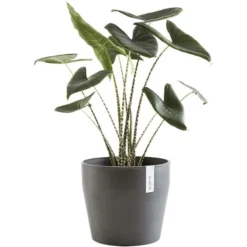 ECOPOTS Sankara Rond - Antraciet Ø 40 Cm -Aanbiedingen Intieme Eden Winkel ecopots sankara rond antraciet 40 cm 1600782615 3 600
