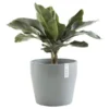 ECOPOTS Sankara Rond - Blauwgrijs Ø 40 Cm -Aanbiedingen Intieme Eden Winkel ecopots sankara rond blauwgrijs 40 cm 1600781287 1 600