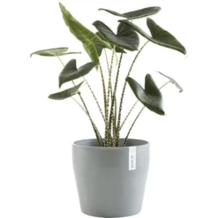ECOPOTS Sankara Rond - Blauwgrijs Ø 40 Cm -Aanbiedingen Intieme Eden Winkel ecopots sankara rond blauwgrijs 40 cm 1600781287 3 600