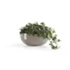 ECOPOTS Sofia Big - Taupe 43 Cm -Aanbiedingen Intieme Eden Winkel ecopots sofia big taupe 43 cm 1672836982 1 600