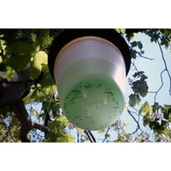 EDIALUX Kastanjemottenval Feromoon - Gel Tegen Mineermotten -Aanbiedingen Intieme Eden Winkel feromoon kastanjemottenval 1484053760 1 600