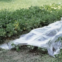 Folie Voor Kweektunnel - 2 × 10 M