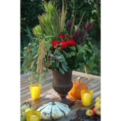 ESSCHERT DESIGN Franse Hoge Vaas 29 Cm -Aanbiedingen Intieme Eden Winkel franse vaas gietijzer 30 cm 1492516881 1 600