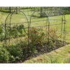 Fruitkooi Lang 3 × 1 × 1,5 M -Aanbiedingen Intieme Eden Winkel fruitkooi 3 x 1 x 15m 1484054956 1 600