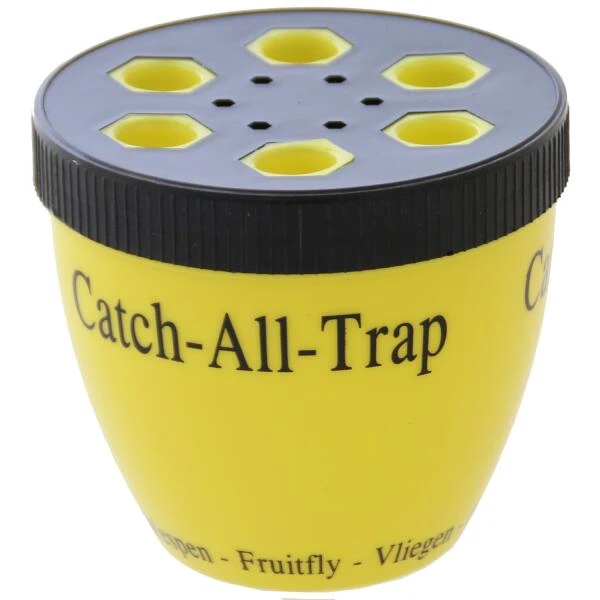 Fruitvliegenval 3 Fruitvliegenval