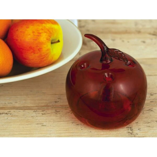 ESSCHERT DESIGN Fruitvliegenval Decoratief - Appel Rood Of Groen 7 ESSCHERT DESIGN Fruitvliegenval Decoratief - Appel Rood Of Groen - Afbeelding 5