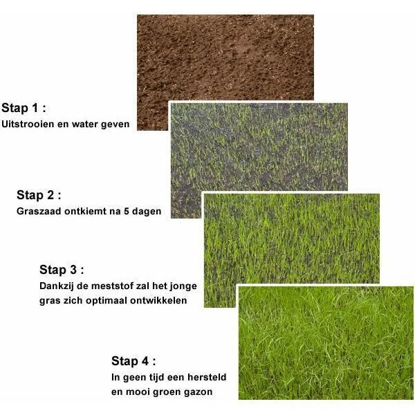 Substral Patch Magic 4 In 1 - 1,5 Kg 4 Substral Patch Magic 4 In 1 - 1,5 Kg - Afbeelding 2