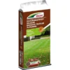 DCM Gazonmest Najaar 10 Kg -Aanbiedingen Intieme Eden Winkel gazonmest najaar 10 kg herstelgraszaad 1641544352 1 600
