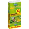 Gazonmeststof Viano Recovery- Herstel 20 Kg -Aanbiedingen Intieme Eden Winkel gazonmeststof viano recovery 20 kg 1484062574 1 600