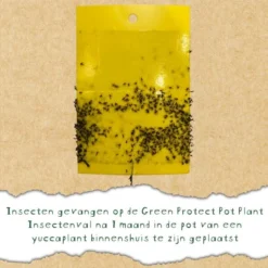 Insectenvallen Gele Lijmplaatjes - Set Van 10 Stuks - Greenprotect -Aanbiedingen Intieme Eden Winkel gele lijmplaatjes kamerplanten 1582273429 4 600