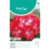 Geranium Bright Eyes - Pelargonium Zonale 1 Geranium Bright Eyes - Pelargonium Zonale -Aanbiedingen Intieme Eden Winkel geranium bright eyes pelargonium zonale 1646840364 1136 600