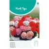 Geranium Magic Beauty - Pelargonium Zonale -Aanbiedingen Intieme Eden Winkel geranium magic beauty pelargonium zonale 1646840363 1128 600