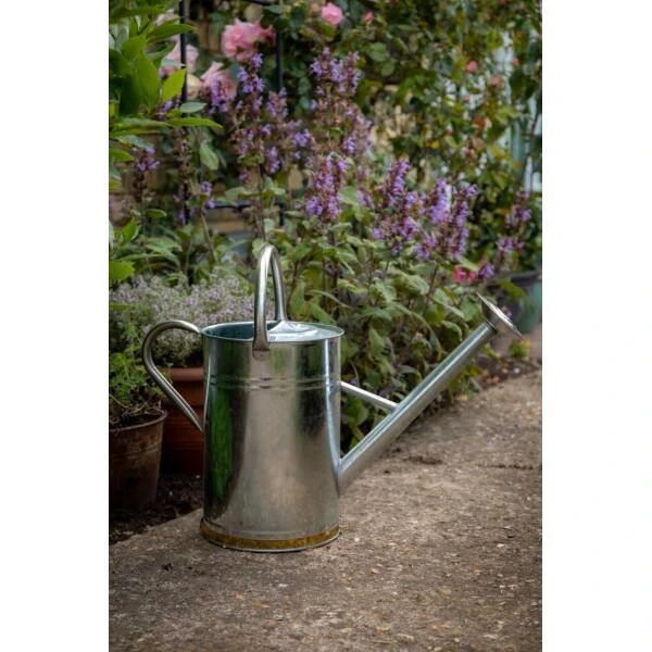 Gieter Gegalvaniseerd Metaal 9 Liter 4 Gieter Gegalvaniseerd Metaal 9 Liter - Afbeelding 2