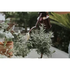 Gieter Haws 1 Liter - Metaal Bordeaux -Aanbiedingen Intieme Eden Winkel gieter haws 1 l metaal bordeaux 1659093222 3 600