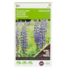 Groenbemester Blauwe Lupine 100 G - 10 M² -Aanbiedingen Intieme Eden Winkel groenbemester blauwe lupine 100 g 10 m 1646840358 1002 600
