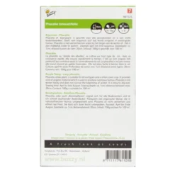 Groenbemester Phacelia 100 G - 100 M² -Aanbiedingen Intieme Eden Winkel groenbemester phacelia 100 g 100 m 1646840358 1001 600