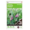 Groenbemester Wikke 150 G - 15 M² 1 Groenbemester Wikke 150 G - 15 M² -Aanbiedingen Intieme Eden Winkel groenbemester wikke 150 g 15 m 1646840357 998 600