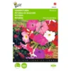 Hangpetunia - Petunia Pendula -Aanbiedingen Intieme Eden Winkel hangpetunia petunia pendula 1646840330 423 600