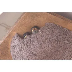 Zwaluwnest Voor Huiszwaluw - Dubbel -Aanbiedingen Intieme Eden Winkel huiszwaluwnestkast dubbel 1484055101 3 600