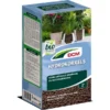 Hydrokorrels DCM BIO - 2 Liter -Aanbiedingen Intieme Eden Winkel hydrokorrels bio 2 liter 1539686219 1 600