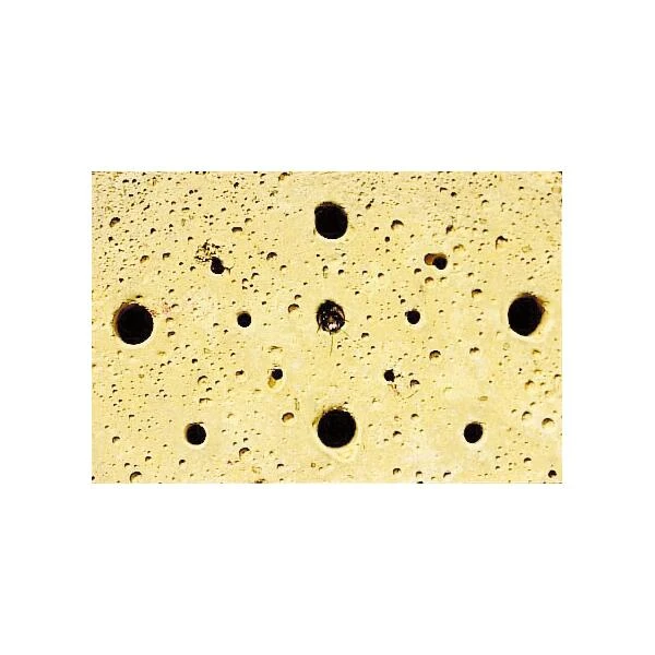 Insectenblok Houtbeton - Schwegler 4 Insectenblok Houtbeton - Schwegler - Afbeelding 2