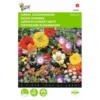 Japans Bloemengazon 1 Japans Bloemengazon -Aanbiedingen Intieme Eden Winkel japans bloemengazon 1646840333 477 600