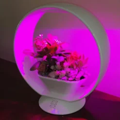 Mini Tuin Jardin Secret Met Verlichting En Bluetooth - Rond -Aanbiedingen Intieme Eden Winkel jardin secret met bluetooth rond 1602065218 3 600