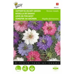 Juffertje Int Groen Persian Jewels - Nigella Damascena
