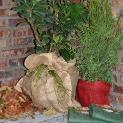 Jutezak - Naturel - 60 × 80 Cm 9 Jutezak - Naturel - 60 × 80 Cm -Aanbiedingen Intieme Eden Winkel jutezak 60 x 80 naturel 1486635322 0 600