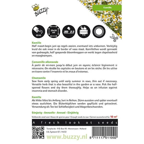 Kamille - Matricaria Chamomilla 4 Kamille - Matricaria Chamomilla - Afbeelding 2