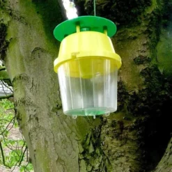 Kastanjemineermot Vangbeker + 1 Feromoon-gelspuit 8 Kastanjemineermot Vangbeker + 1 Feromoon-gelspuit -Aanbiedingen Intieme Eden Winkel kastanjemineermot vangen 1484053362 4 600