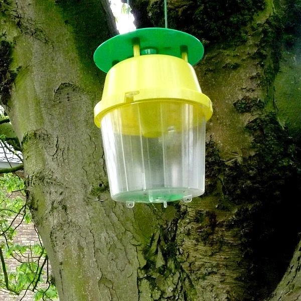 Kastanjemineermot Vangbeker + 1 Feromoon-gelspuit 4 Kastanjemineermot Vangbeker + 1 Feromoon-gelspuit - Afbeelding 2