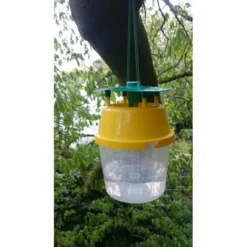 Kastanjemineermot Vangbeker + 1 Feromoon-gelspuit 9 Kastanjemineermot Vangbeker + 1 Feromoon-gelspuit -Aanbiedingen Intieme Eden Winkel kastanjemineermot vangen 1484053362 5 600