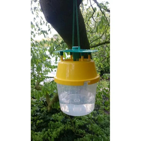 Kastanjemineermot Vangbeker + 1 Feromoon-gelspuit 5 Kastanjemineermot Vangbeker + 1 Feromoon-gelspuit - Afbeelding 3