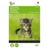 Kattengras Gerst 1 Kattengras Gerst -Aanbiedingen Intieme Eden Winkel kattengras gerst 1646840387 1574 600