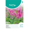 Kattensnor Rose Queen - Cleome Spinosa HT -Aanbiedingen Intieme Eden Winkel kattensnor rose queen cleome spinosa ht 1646840358 1012 600
