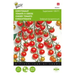 Kerstomaat Supersweet 100 F1 - Lycopersicon Esculentum