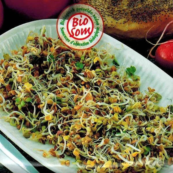 Kiemen Pikante Mix - BIO 3 Kiemen Pikante Mix - BIO