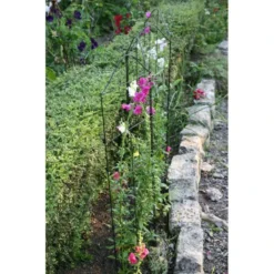 Klimplantensteun - Moduleerbare Steunpanelen -Aanbiedingen Intieme Eden Winkel klimplantensteun rekken 1549797641 1 600