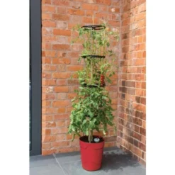 Tomatentoren Met Bewateringssysteem - 150 Cm -Aanbiedingen Intieme Eden Winkel klimplantentoren met bewateringssysteem 1519074088 1 600